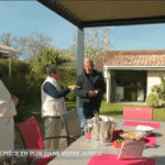 Claustras pour pergola à Pessac